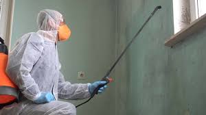 Best Mold Odor Removal Services  in Fairfax, OH