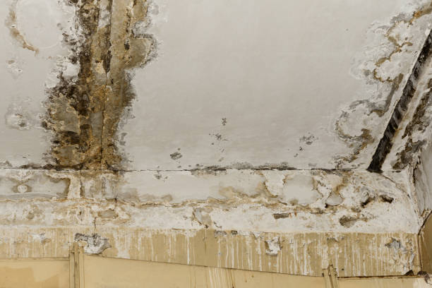 Best Residential Mold Inspection & Testing  in Fairfax, OH