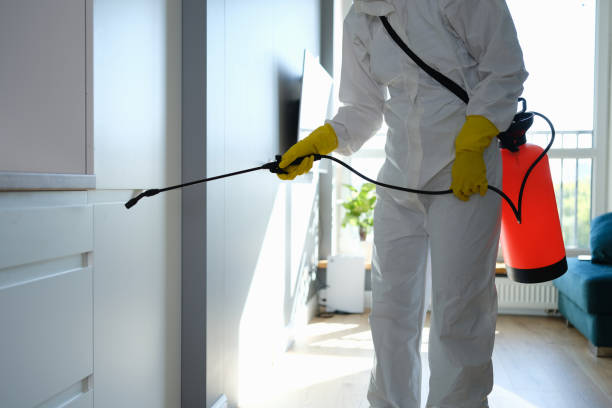 Best Basement Mold Removal  in Fairfax, OH