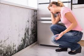 Mold Removal for HVAC Installations in Fairfax, OH